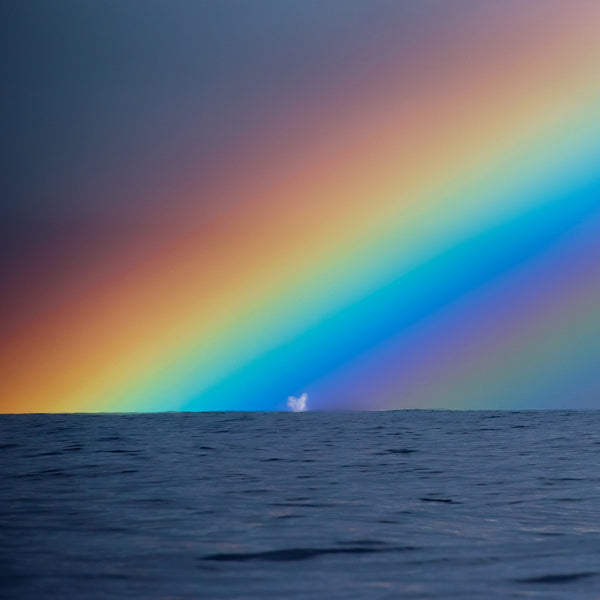 'Rainbowsplash'