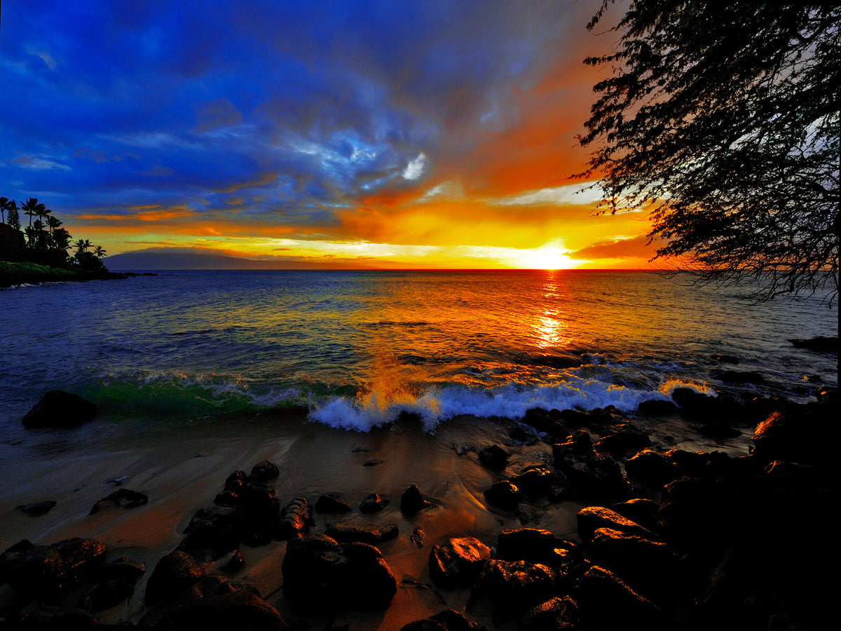 SPECTRUM_1200x1200.jpg?v=