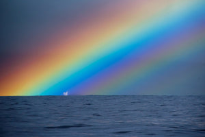'Rainbowsplash'